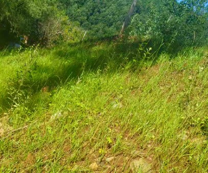 柳關(guān)欒盧鉛鋅礦|治理排土“瘡疤”，繪就綠色畫卷